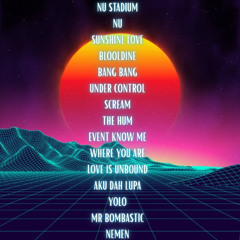 NU breakbeat stadium