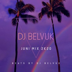 DJ BELVUK - JUNI MIX 2K20