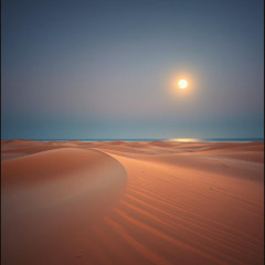 Praia Selvagem