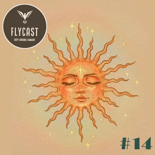 Flycast #14