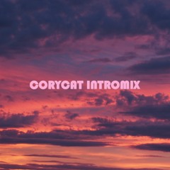 O.t. Quartet - Hold That Sucker Down (Warp Brothers Remix Special Corycat infinite Intromix)