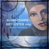 Downtempo-Geflüster 004 DJ mix artwork - Electronic music tracklist cover image