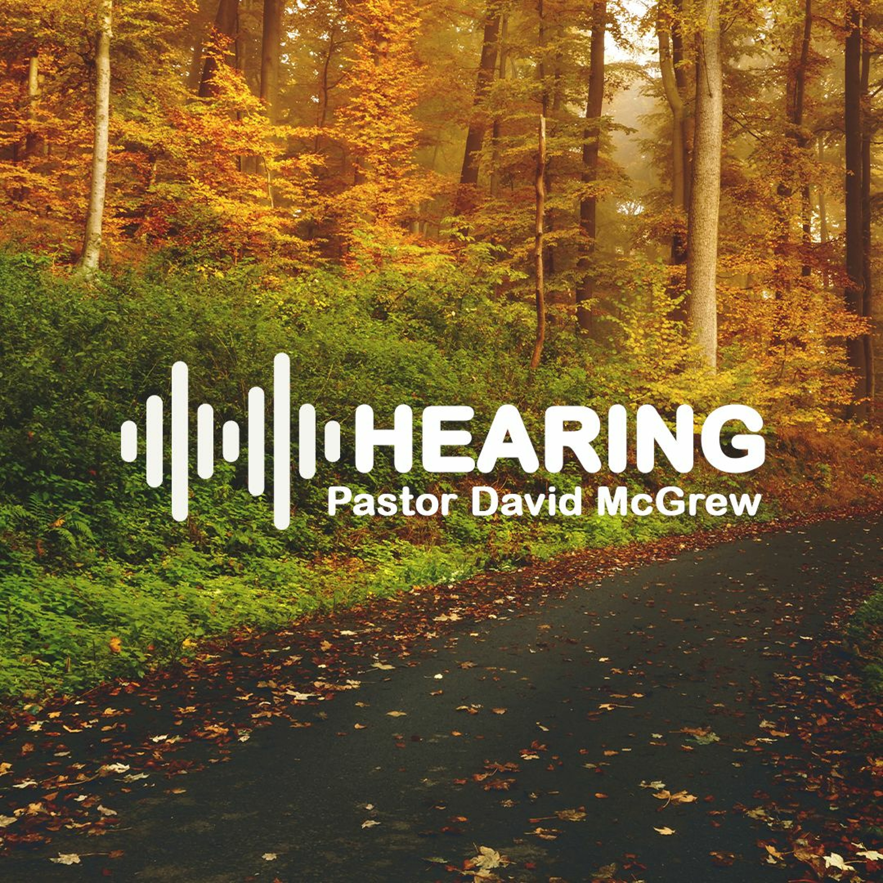 Impact Life Podcast