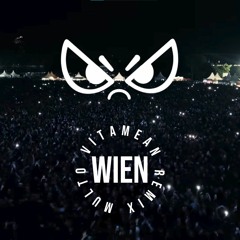 RAF CAMORA & YUNG HURN - WIEN (MULTO VITAMEAN REMIX)