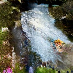 THE LONG WAY DOWN