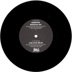 Rammstein - Waidmanns Heil (Stahl. Acid Edit) | FREE DL