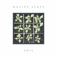 Native State - Soil