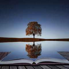 REFLECTIONS
