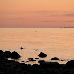 Morning by Rengaskari Reef - 20/4/2021 - Makholma Finland