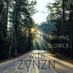 driving slowly.. with zynzn