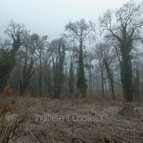 Indifferent Oscillator (dusk)