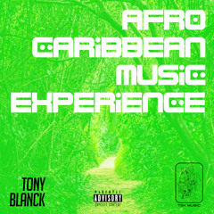 Afro Caribbean Music Experience by DJ Tony Blanck