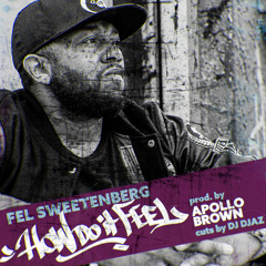 How Do It Feel (prod. by Apollo Brown, cuts by DJ Djaz)