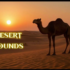 DESERT SOUNDS