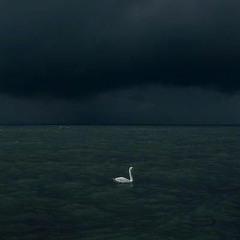 بدأتُ بالانفصال عنّي !-أيمن العتوم-ا