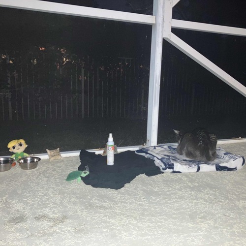 i don't want to be alone