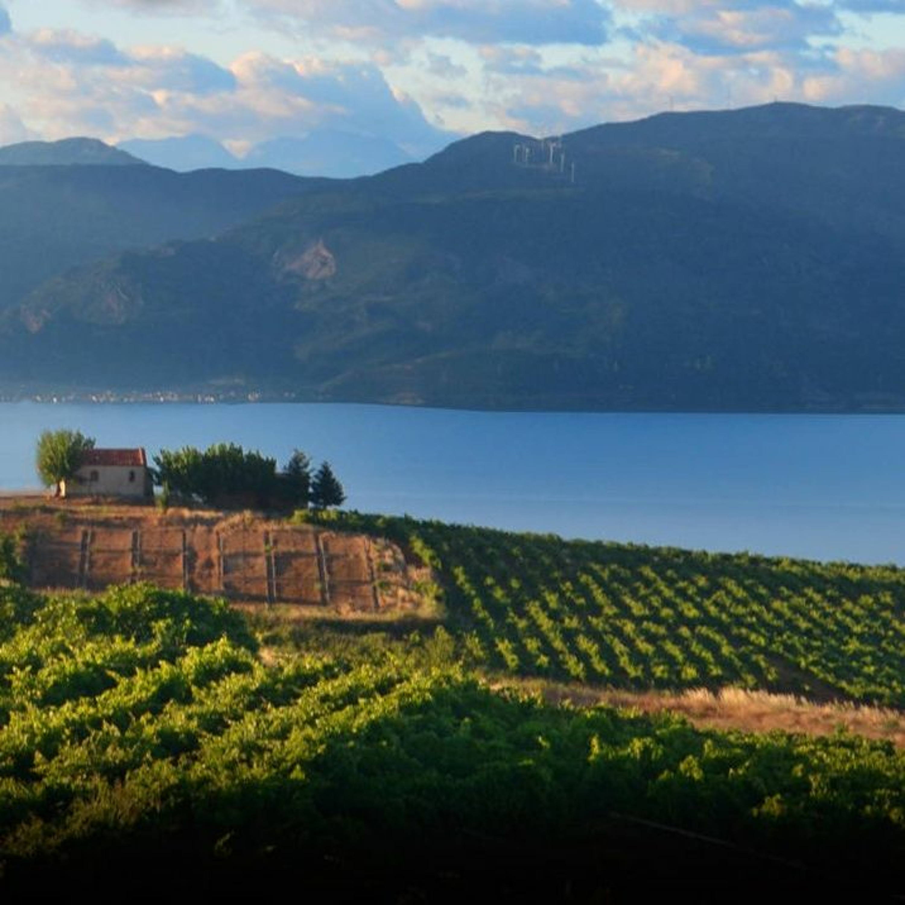 פרק 74 - יוון - הפניקס של היין