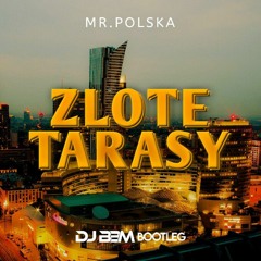 Mr. Polska - Złote tarasy (DJ BBM BOOTLEG).mp3