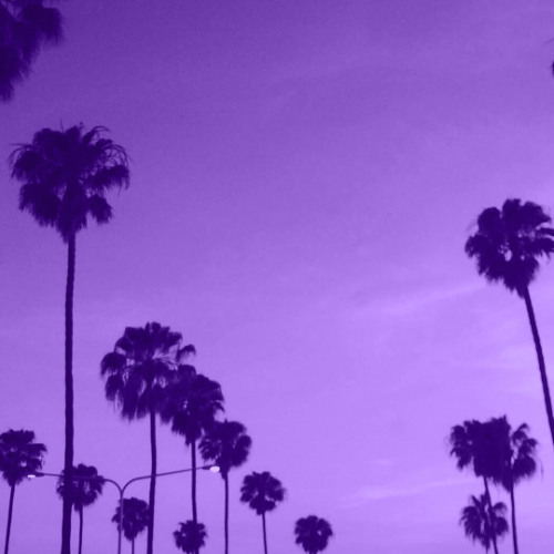 Summer Nights (Cash Cobain x Chow Lee Type Beat)