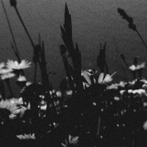 Venera 13 (excerpt)