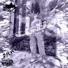 @HONCHO - max. 24.