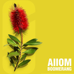 AIIOM - Boomerang (Insolvn Sea Remix '17)