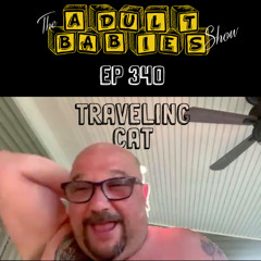 Ep 340 "Traveling Cat"