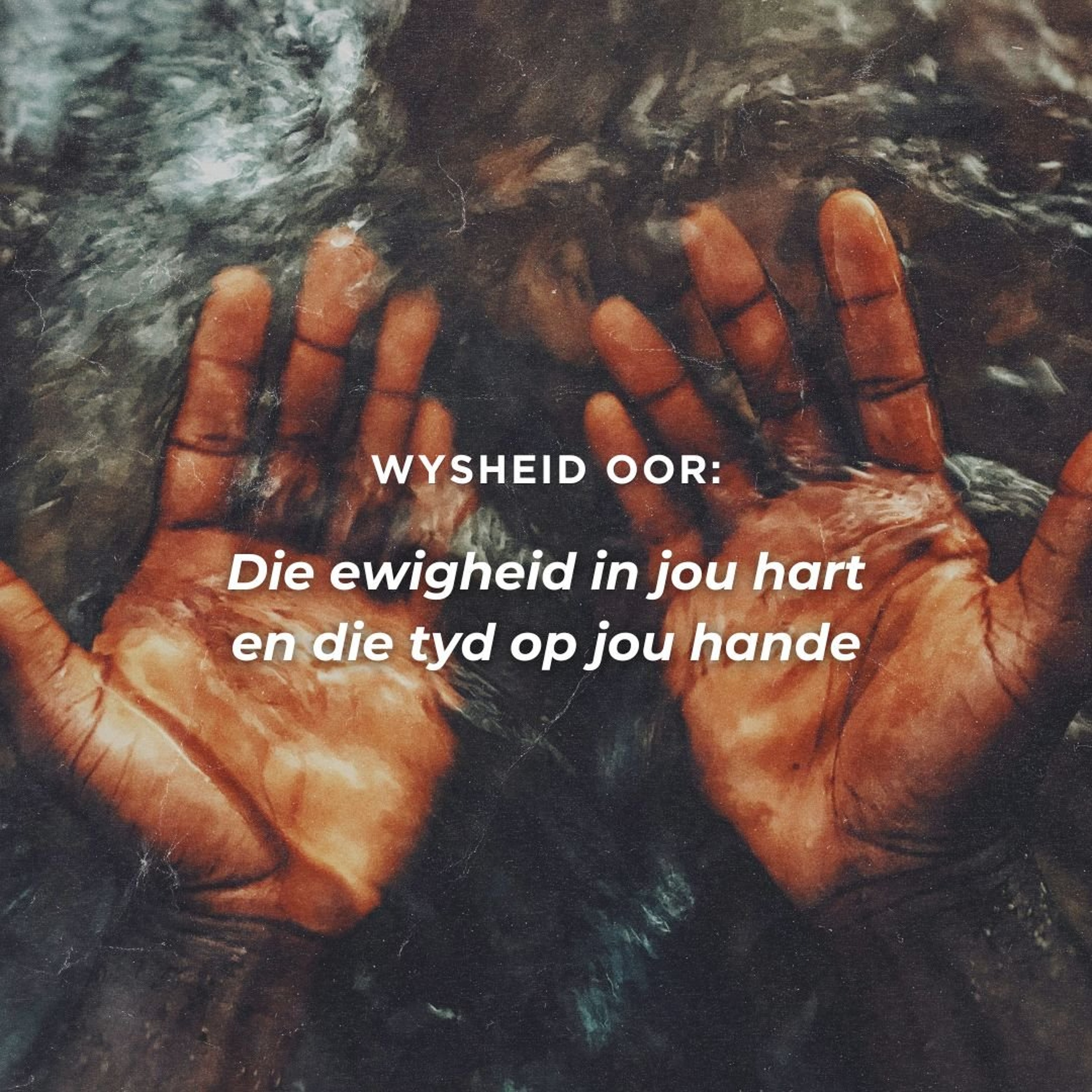 Wysheid oor: Die ewigheid in jou hart en die tyd op jou hande deur Frieda van den Heever