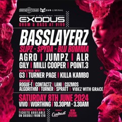 VIBEZ WITH GRACE - BASSLAYERZ TEASER