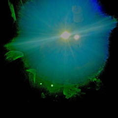nolight