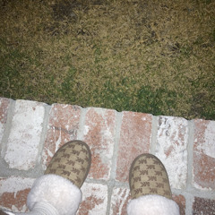 Mary carpenter interlude