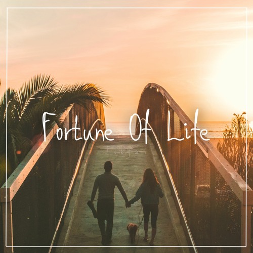 Fortune Of Life (Free Download)