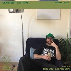 Sentient B2B RIPS - Mode London set