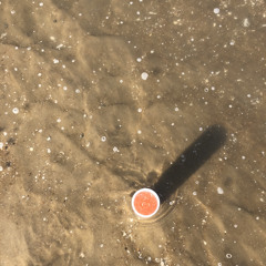 flithy habits - plaru