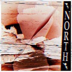 North Slowed And Reverb