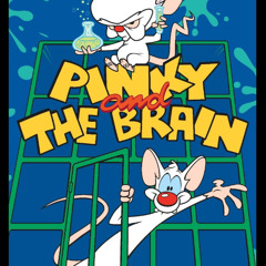 PINKY & THE BRAIN