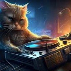 A Felines Soul Flow ( Drum & Bass Honor Mix)
