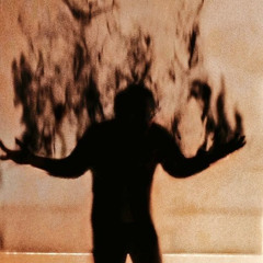 SILHOUETTES (Feat. ZARI)