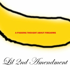 A PASSING THOUGHT ABOUT FIREARMS