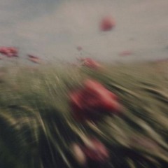 Collision