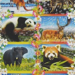 dirty w presha (bbmevis)