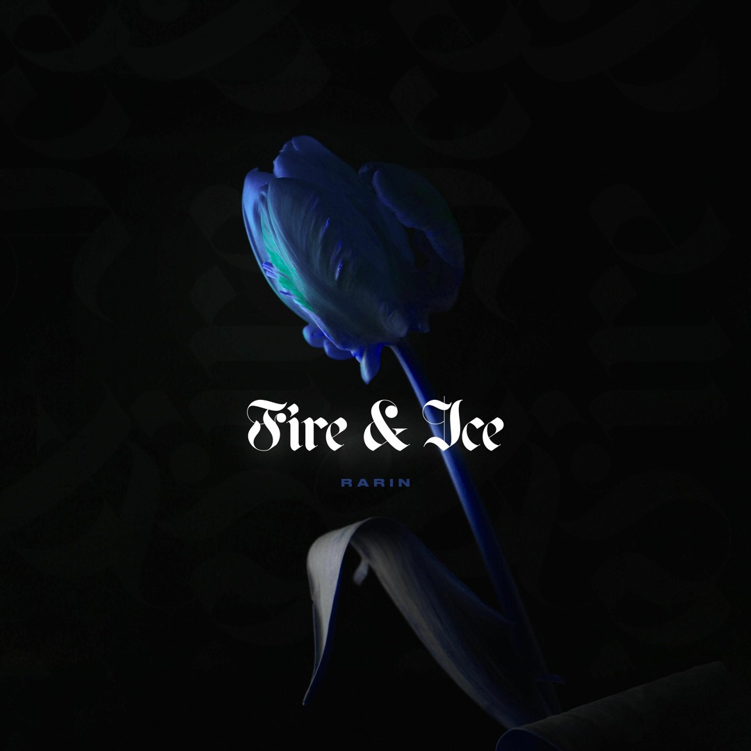 David Malam Photography - Fire Flowers, image size:1080x1080