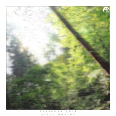 Sven Noon - Pareidolia