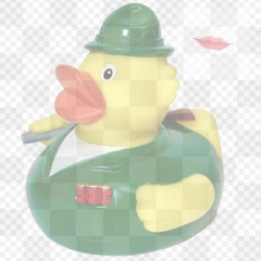 Duck Season