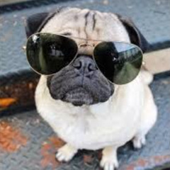 СТРОГО ЦИКЛОП #ТРЭППОХ