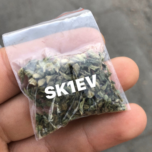 Stream Sk1ev Krome Shutok Dvnsk Prod By Sanya Sk1ev Listen Online For Free On Soundcloud