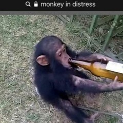 Eating Bananas (with you)