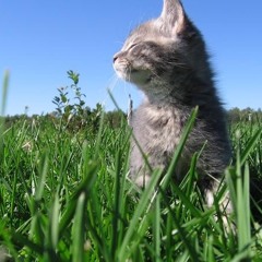 Late Night Car Drive Shit