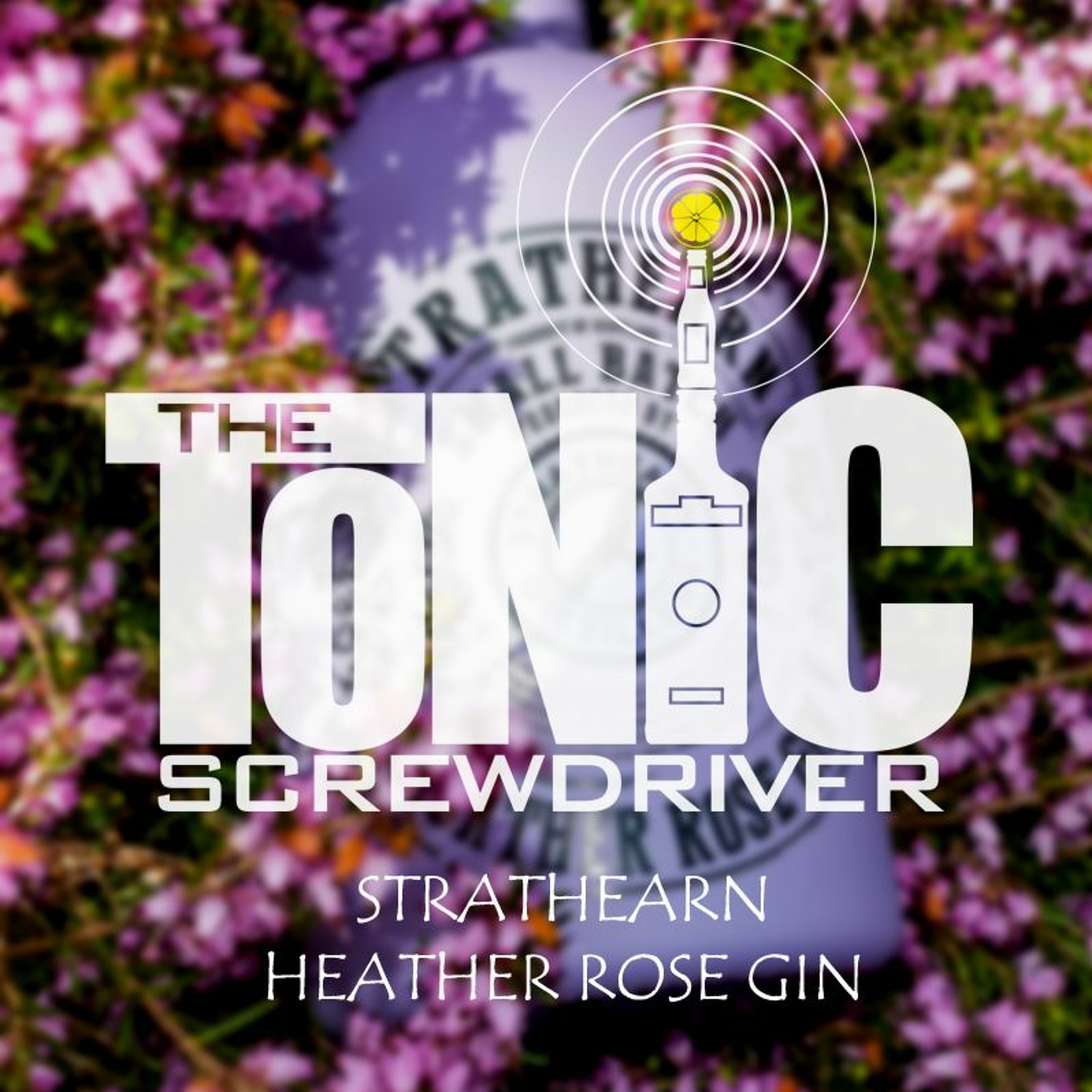 The Tonic Screwdriver
