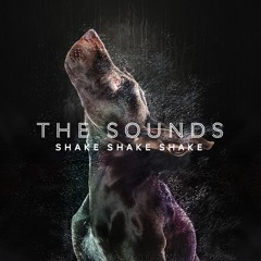 The Sounds